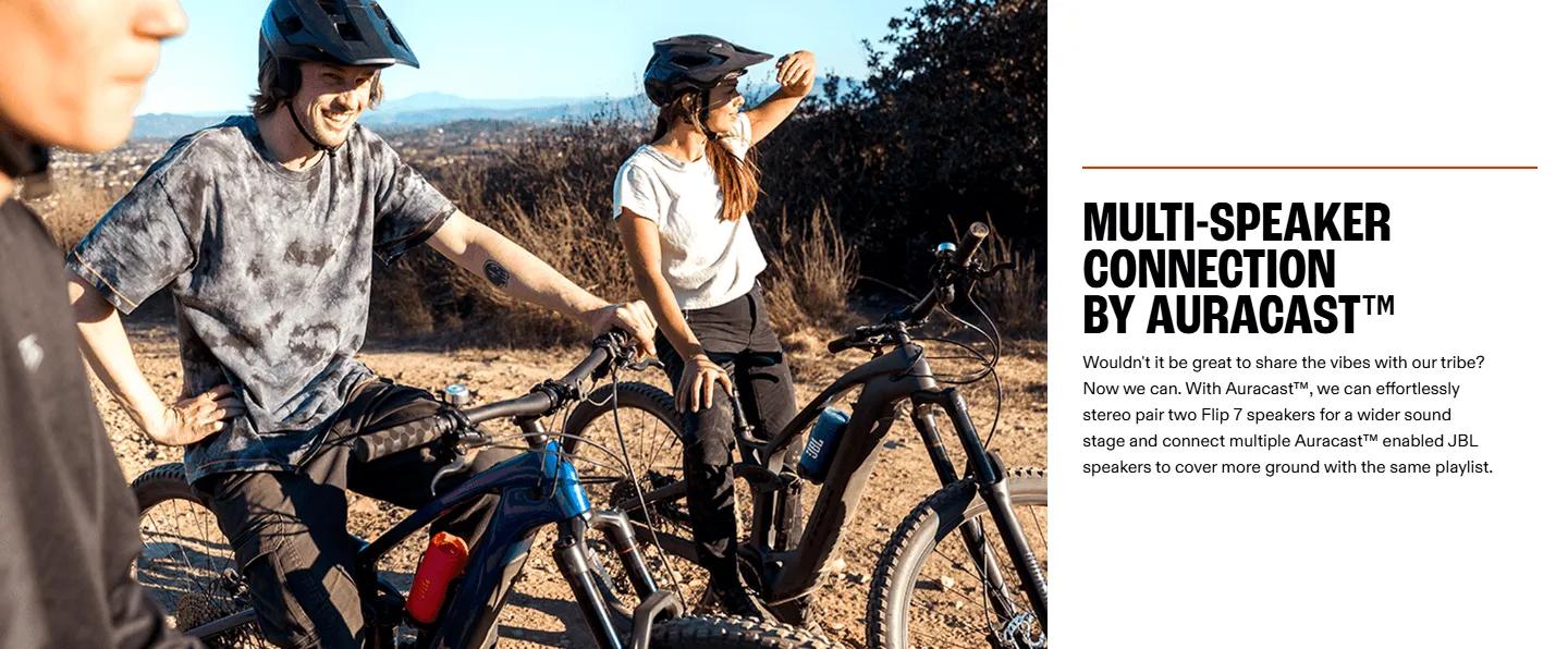 JBL Flip 7 Portable Bluetooth Speaker